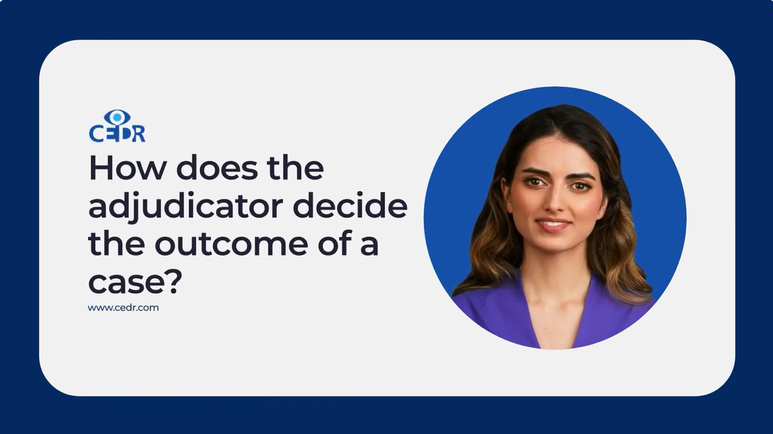 How does the adjudicator decide the outcome of a case